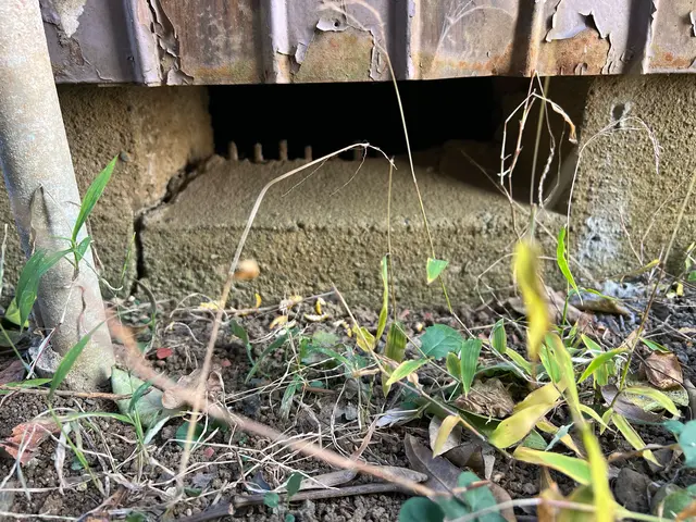 大手実績あり！迅速・丁寧な対応で安心を提供する専門家☆サービスの画像