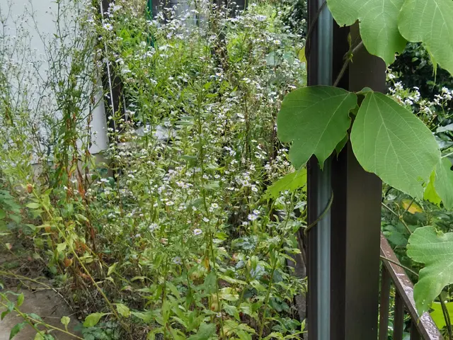 ◯庭園管理士の資格を所有◯迅速丁寧に対応しますサービスの画像