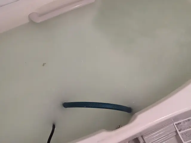 【徹底力】☆代表のわたしがお伺いします☆綺麗を通じて笑顔をお届けサービスの画像