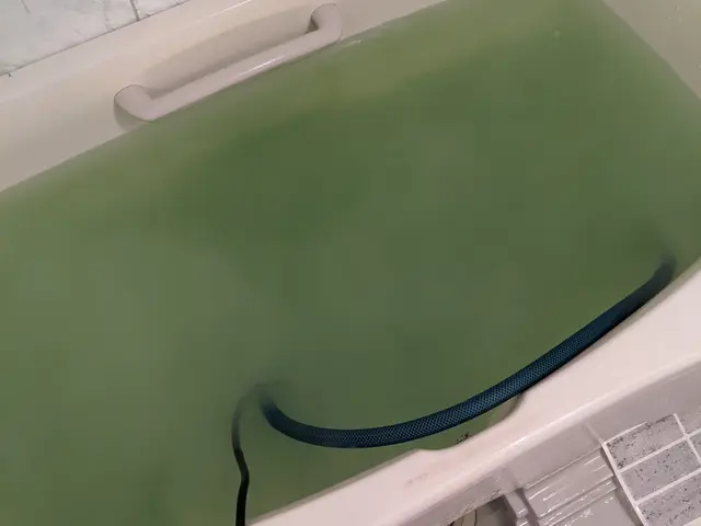 【徹底力】☆代表のわたしがお伺いします☆綺麗を通じて笑顔をお届けサービスの画像