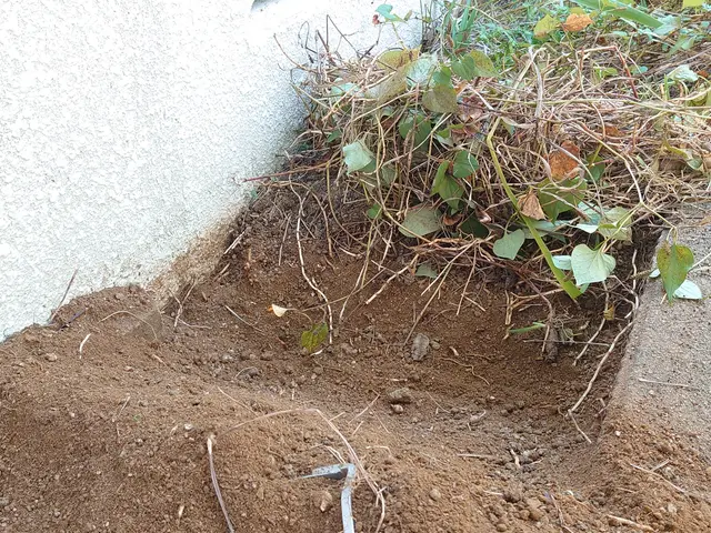 『必ず綺麗にする、草引き。』サービスの画像