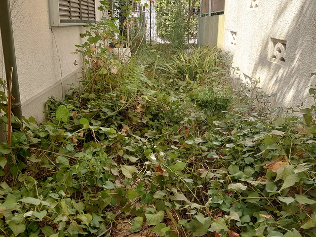 『必ず綺麗にする、草引き。』サービスの画像