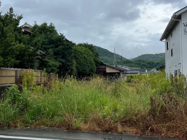 刈払い機での雑草の草刈り、処分を行います。お問い合わせ下さい。サービスの画像