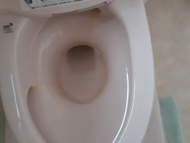 【五泉市】損害保険加入済み◎作業にご不満の場合は無料で追加対応も行います！サービスの画像