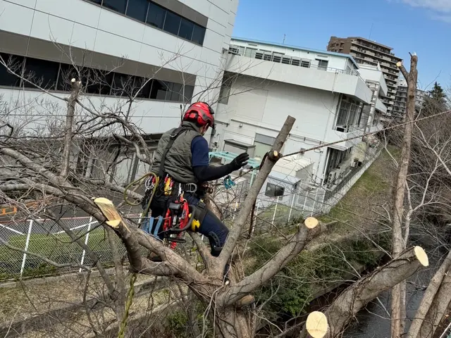 【高木もご相談下さい】損害保険加入済みで安心◎対応地域外もご相談OK◎サービスの画像