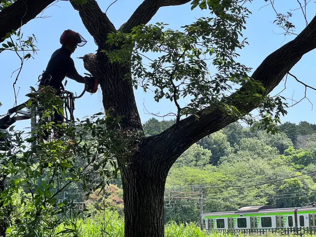 【高木もご相談下さい】損害保険加入済みで安心◎対応地域外もご相談OK◎サービスの画像