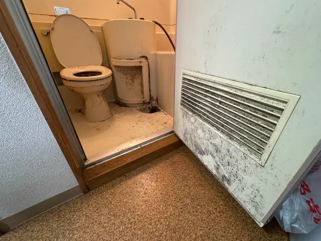 長年こびりついた浴室のカビ・水垢も、Clean+にお任せください！サービスの画像