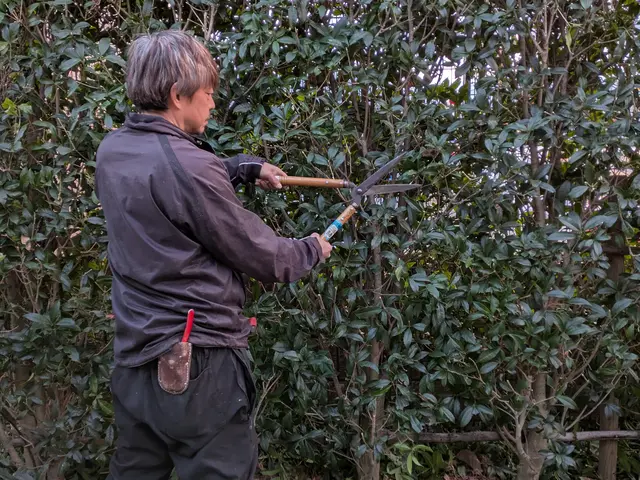 プロの技術でご満足いただけるように心を込めて作業いたしますサービスの画像