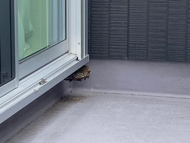 当日でもスケジュールが空いていればお伺い致します！◆営業時間外も対応OKサービスの画像