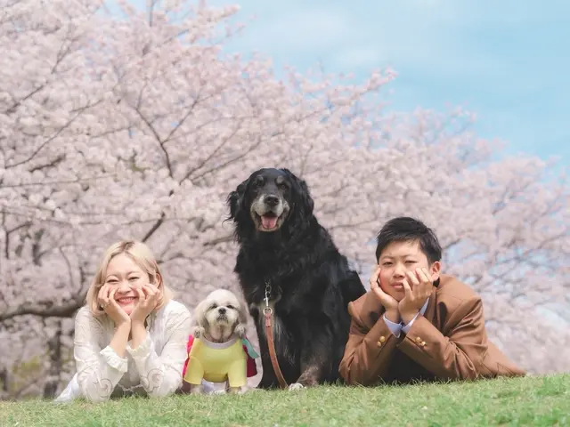 【撮影時間は1.5時間】最高の自然な表情を引き出し、ご家族の大切な瞬間を残します