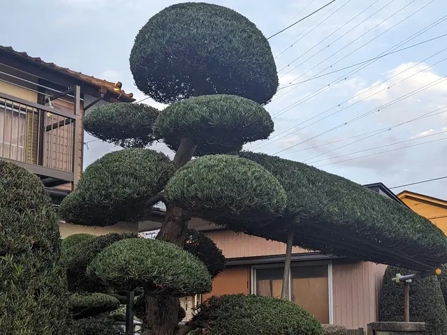 【作業実績100件マスター】確かな技術と柔軟な対応力でお応えします！サービスの画像