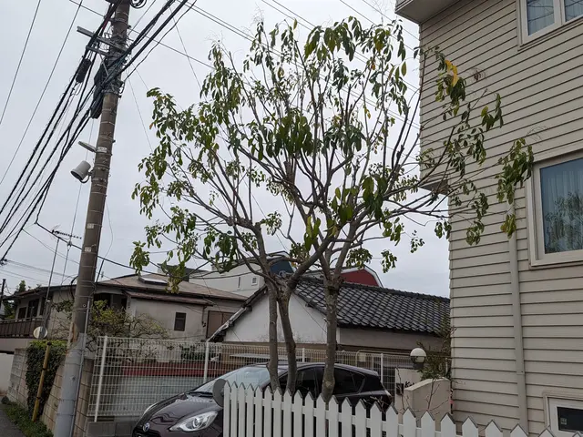 【作業実績100件マスター】確かな技術と柔軟な対応力でお応えします！サービスの画像