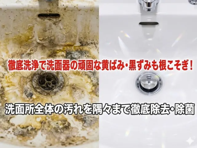 安心丁寧仕上げの徹底水垢除去洗面所清掃サービスサービスの画像