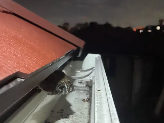 【口コミ高評価・即日対応】手際よく安心！再発保証付き蜂の巣駆除サービスの画像