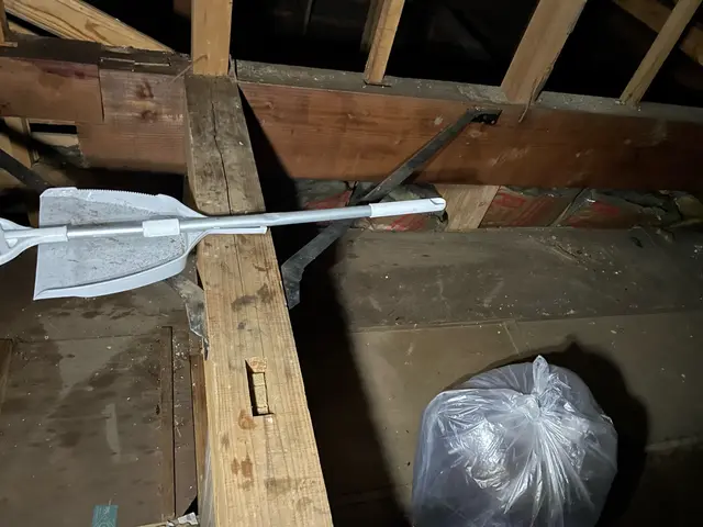 【口コミ高評価・即日対応】手際よく安心！再発保証付き蜂の巣駆除サービスの画像