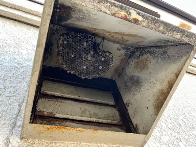 【口コミ高評価・即日対応】手際よく安心！再発保証付き蜂の巣駆除サービスの画像