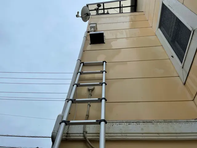 【口コミ高評価・即日対応】手際よく安心！再発保証付き蜂の巣駆除サービスの画像