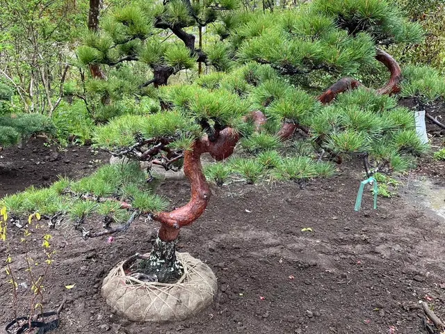 丁寧なコミュニケーションで、お客様の理想のお庭づくりをしっかりサポートします。サービスの画像