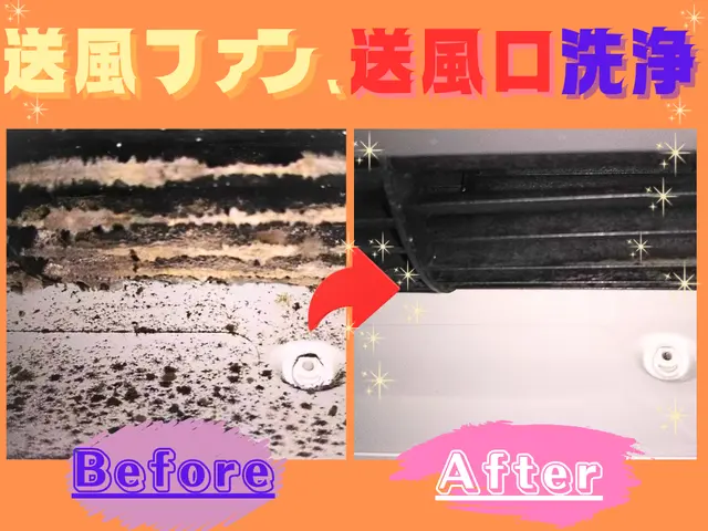 即日~ご対応可能☆天然エコ洗剤で赤ちゃんペットも安心安全♡天然W消臭抗菌も無料♢サービスの画像