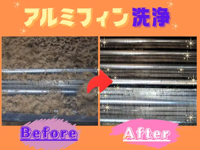 即日~ご対応可能☆天然エコ洗剤で赤ちゃんペットも安心安全♡天然W消臭抗菌も無料♢サービスの画像