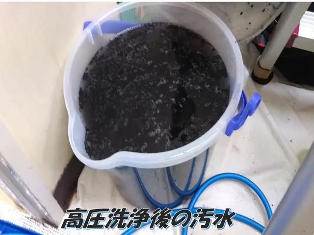 11/12~ご対応☆天然エコ洗剤で赤ちゃんペットも安心安全★天然W消臭抗菌も無料サービスの画像