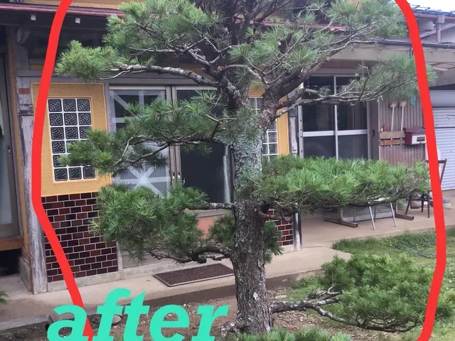 ☆お客様のご希望に寄り添い、安心・丁寧な作業でお庭をリフレッシュいたします☆サービスの画像