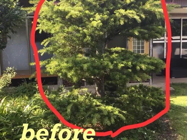 ☆お客様のご希望に寄り添い、安心・丁寧な作業でお庭をリフレッシュいたします☆サービスの画像