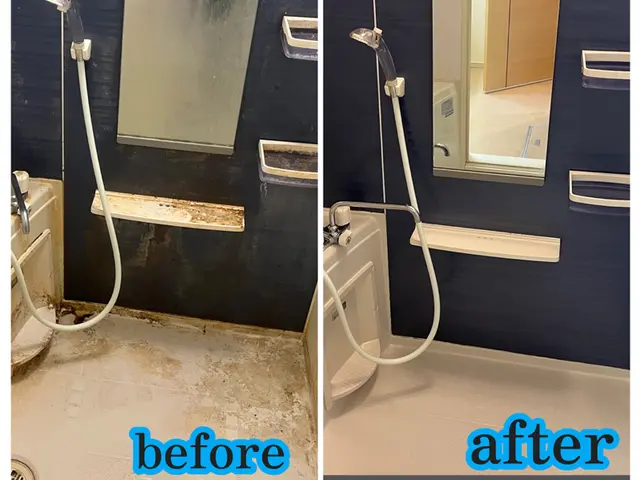 頑固なカルキ、水垢や黒カビも徹底除菌！プロの技術でピカピカにサービスの画像