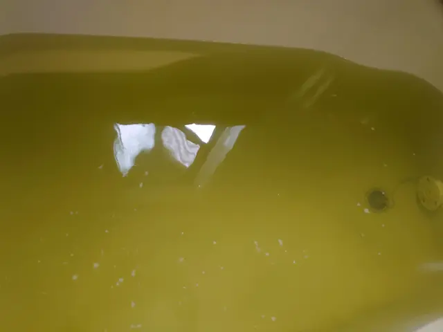 【大掃除早割価格♪】★レジオネラ菌対策★ナノバブル洗浄★【全額返金保証】サービスの画像