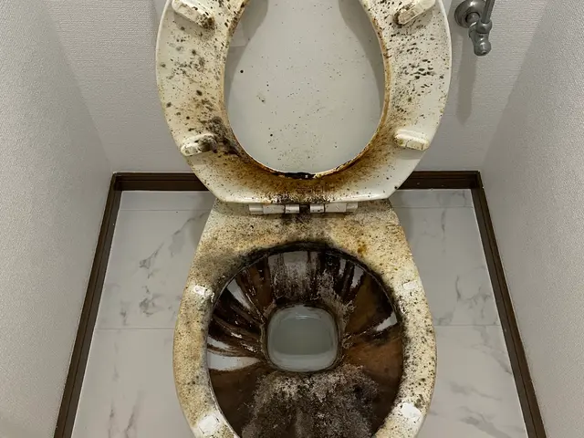 お客様のお力になります！経験と知識を活かして迅速丁寧に作業いたしますサービスの画像