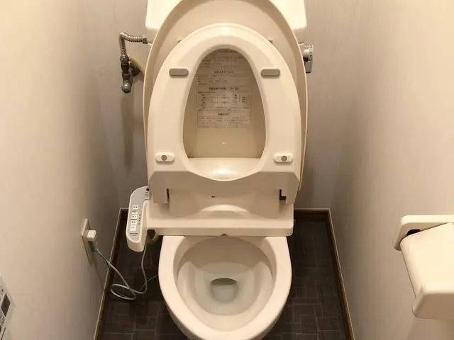 ☆1日1件☆11~12月限定公開!!☆サービスの画像