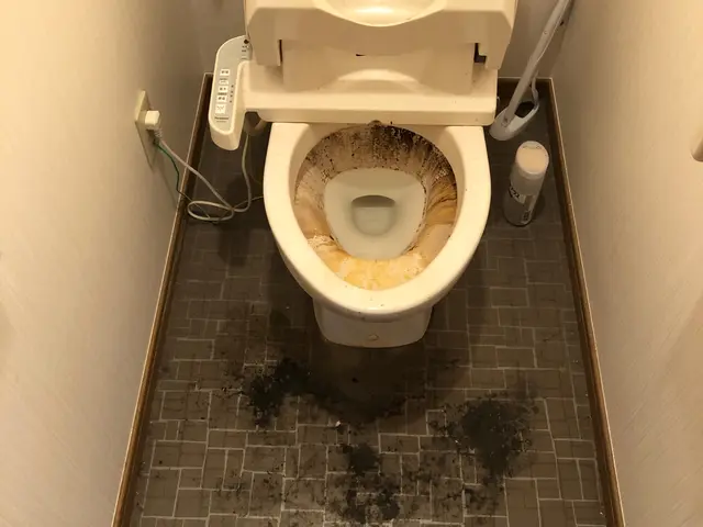 ☆1日1件☆11~12月限定公開!!☆サービスの画像