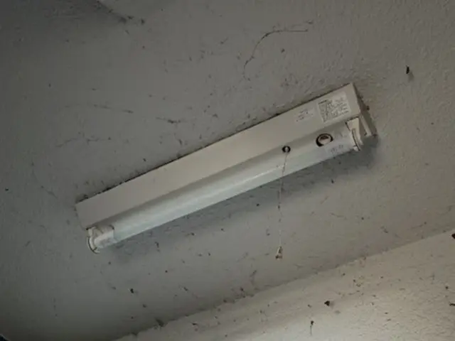 現在蛍光灯になっている部分をLED照明に変更します。特殊な蛍光灯でも相談くださいサービスの画像