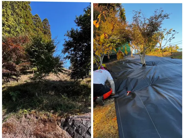 【防草シート】迅速・丁寧な対応！地域密着サービス！サービスの画像