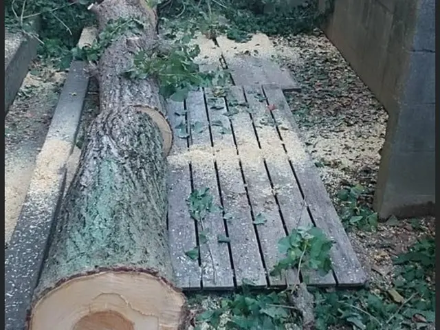 【職人歴24年の実績】予約から施工まで自社対応・アフターフォローも万全サービスの画像