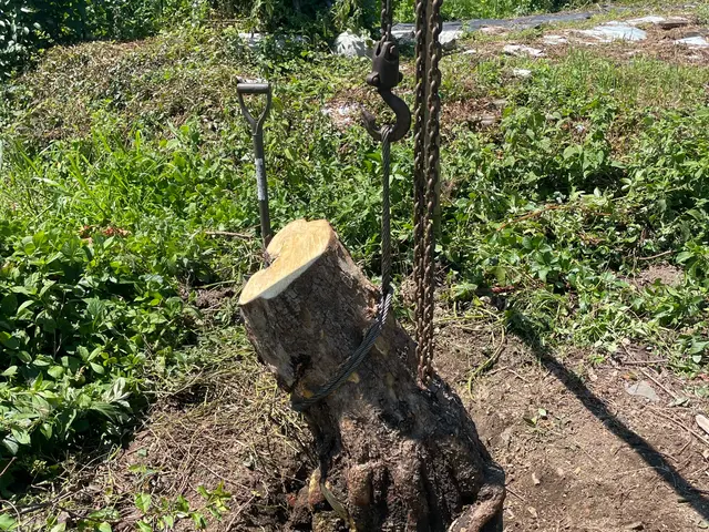 【職人歴24年の実績】予約から施工まで自社対応・アフターフォローも万全サービスの画像