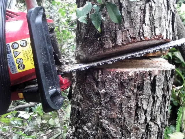 【職人歴24年の実績】予約から施工まで自社対応・アフターフォローも万全サービスの画像