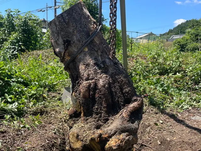 【職人歴24年の実績】予約から施工まで自社対応・アフターフォローも万全サービスの画像