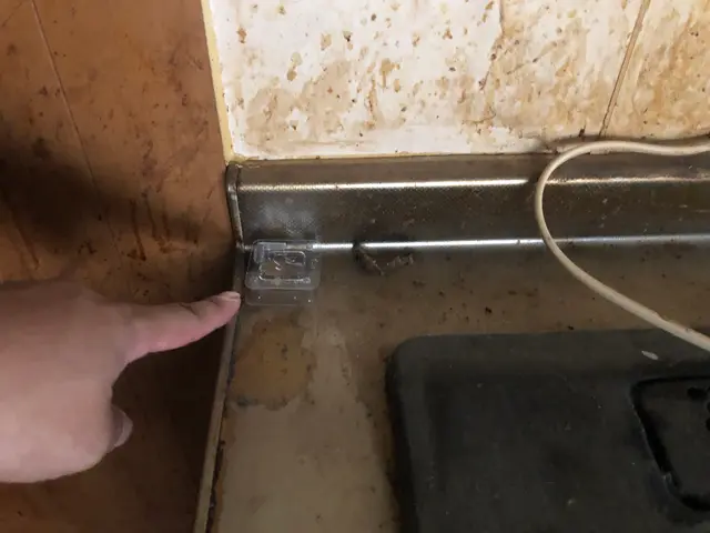 ★業歴11年★コロナ対策済★サービスの画像