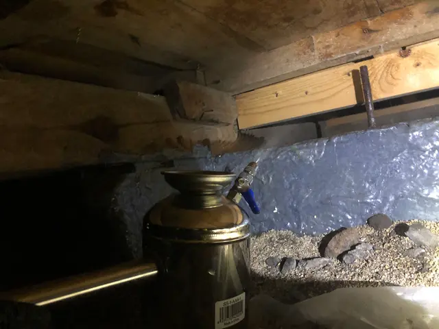 ★業歴11年★コロナ対策済★サービスの画像