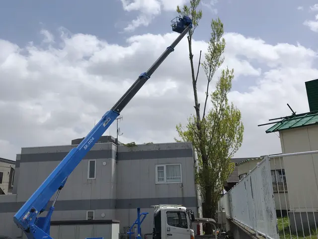 支障木、危険木の伐採賜ります！他店で断られた件を気軽にご相談くださいませ。サービスの画像