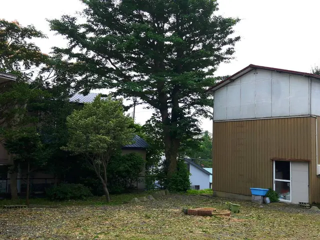 支障木、危険木の伐採賜ります！他店で断られた件を気軽にご相談くださいませ。サービスの画像