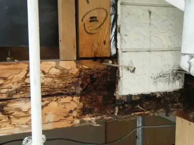 駆除歴10年以上の有資格者多数在籍【事前見積り無料】【事前調査可能】関西支店サービスの画像