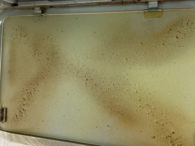 ◇1月・2月は通常15,000円⇨13,000円◇ハウスクリーニング士資格取得◇サービスの画像