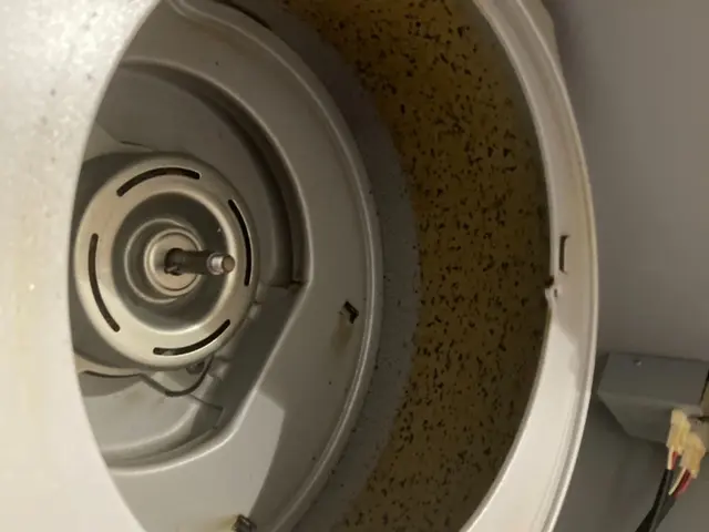 ◇1月・2月は通常15,000円⇨13,000円◇ハウスクリーニング士資格取得◇サービスの画像