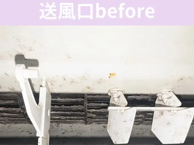 【安曇野市・松本市周辺】年間実績300件以上、エコ洗剤使用ペットやお子様にも安全サービスの画像