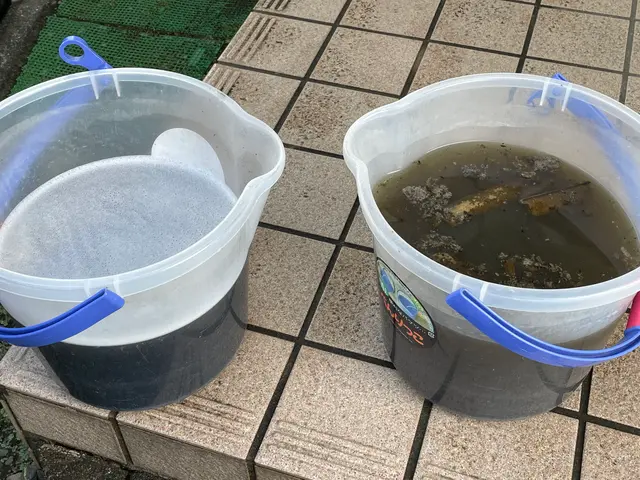 ※リピーター様限定！メッセージ頂ければ調整いたします！お気軽にご連絡ください！サービスの画像