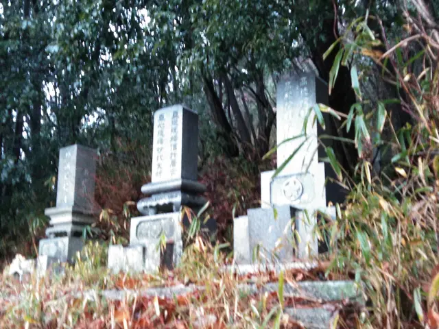 お墓参り代行サービスの画像