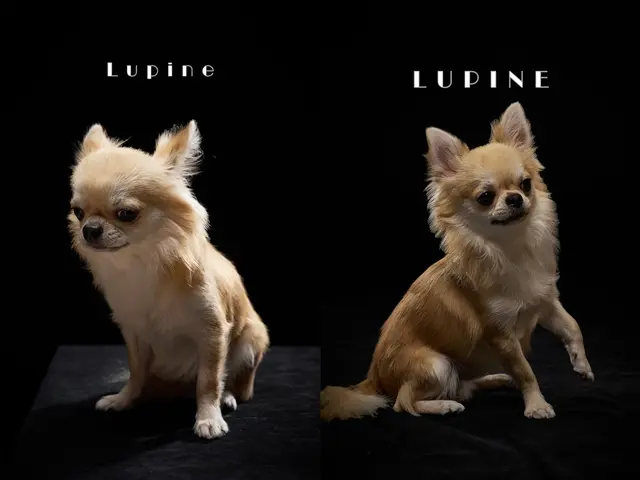 スタジオ代込！プロの技術でご満足いただけるように心を込めて作業いたします