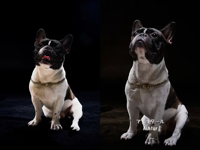 スタジオ代込！プロの技術でご満足いただけるように心を込めて作業いたします